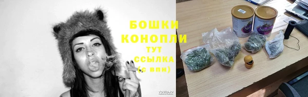 амф Верея