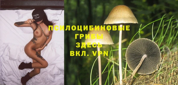 тгк Нефтекумск