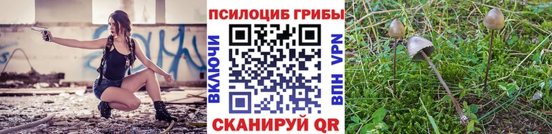 Галлюциногенные грибы MAGIC MUSHROOMS  darknet официальный сайт  Крым  цены наркотик 